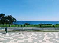 Tanesashi Coast Natural Lawn