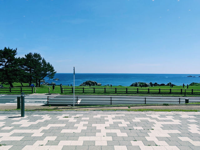 Tanesashi Coast Natural Lawn