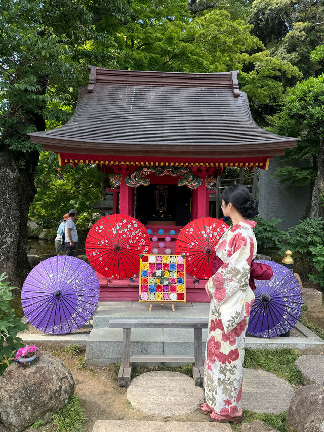 〜茨城県〜関東まだ間に合うあじさいスポット！ライトアップ情報も💡