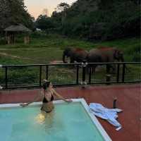 รีวิวโรงแรมที่หรูที่สุดในเชียงราย Anantara Golde