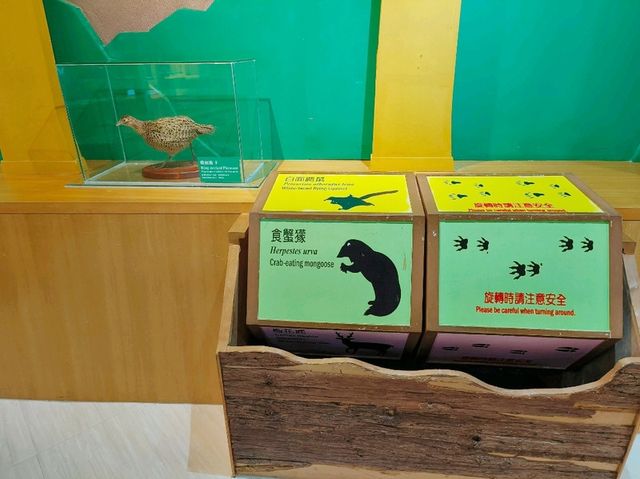 花蓮-池南國家森林遊樂區（扭蛋DIY)