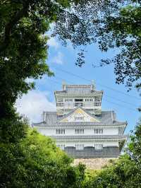 絶景と歴史を堪能！✨岐阜城に行ってきた！