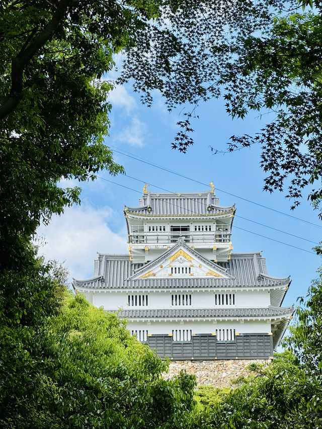 絶景と歴史を堪能！✨岐阜城に行ってきた！