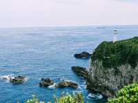 The Cape Ashizuri