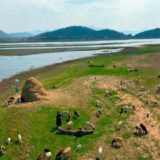 Morethan beach and Cafe