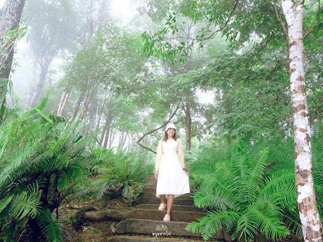 อุทยานแห่งชาติทองผาภูมิ