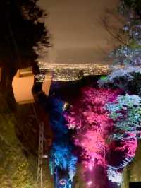 〜神奈川県〜夜景と紅葉両方楽しめるのはここだけ！大山阿夫利神社ライトアップ