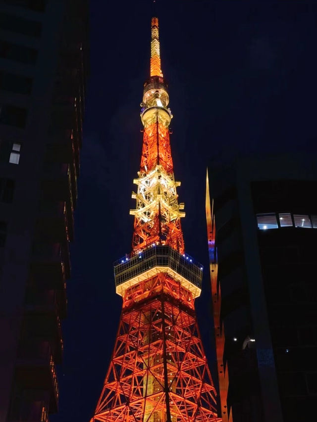 【東京塔】大瞭望台900日元，東京塔夜景🔥🏖️