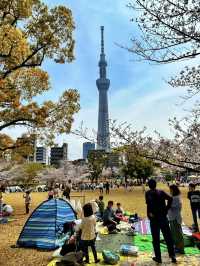 【東京】晴空塔：網紅地打卡，世界最高電視塔🔥🏖️
