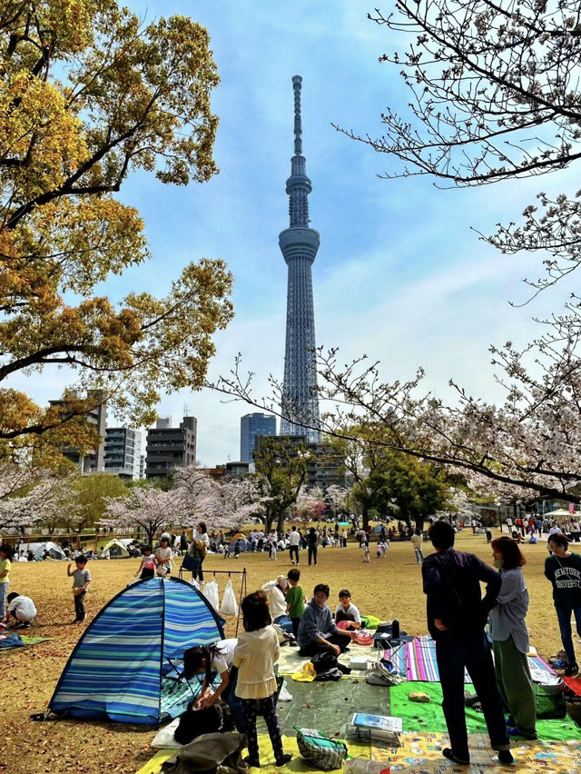 【東京】晴空塔：網紅地打卡，世界最高電視塔🔥🏖️