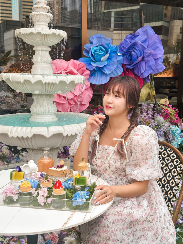 深圳 · 被漂亮花花包圍🌸