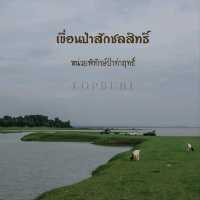 🌿🐑ถ่ายรูปกับฝูงแพะ @เขื่อนป่าสักฯ ลพบุรี