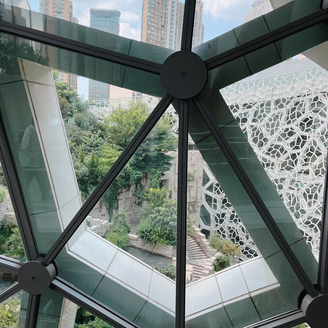 เดินเล่นกันที่ Shanghai Natural History Museum