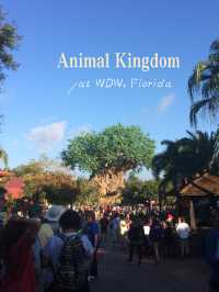 Adventures at Animal Kingdom in WDW, Florida 🐘