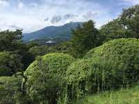 箱根県立恩賜箱根公園：自然美景與悠閒時光