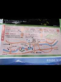 【静岡/伊豆修善寺】竹林の小径でおさんぽ🎋