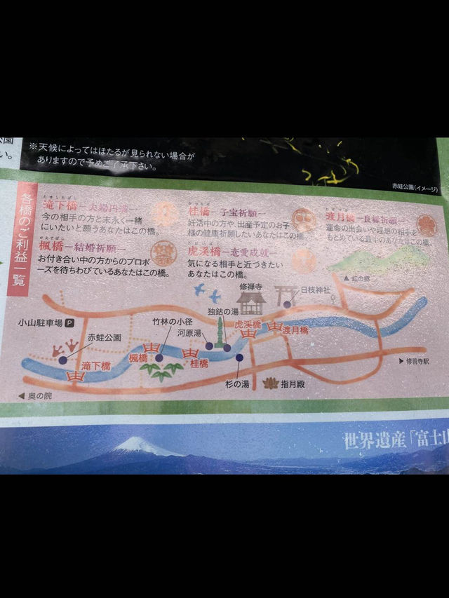 【静岡/伊豆修善寺】竹林の小径でおさんぽ🎋