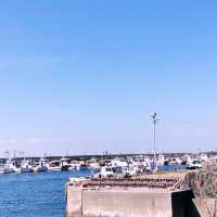【🇯🇵日間賀島】タコ壺だらけの夏の離島旅🐙