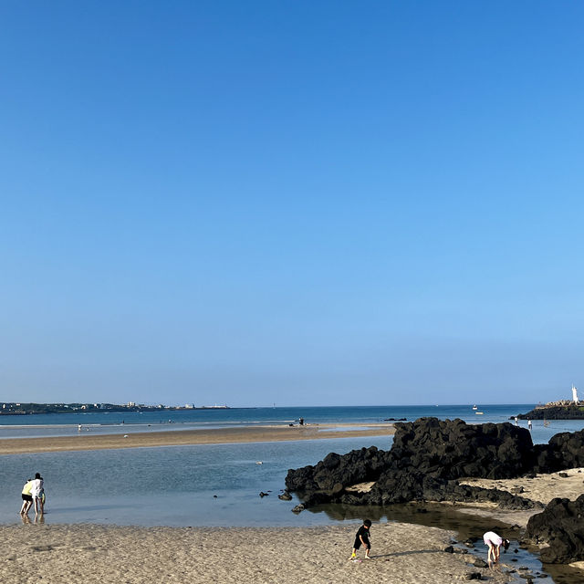 제주도 운치있는 바다 여행 표선해수욕장