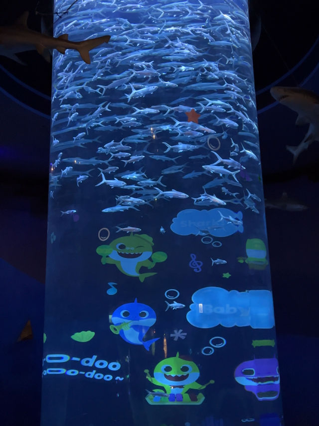 Review 🐠 อควาเรียมที่ตั้งอยู่ภายใน Ocean Park