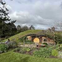 Must visit place in auckland