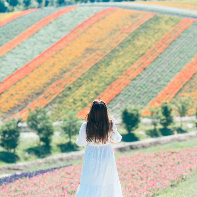 これが500円！？四季によって色が変わるお花畑🌷