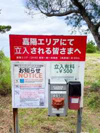 【沖縄】ガイドブックに載っていない絶景スポット
