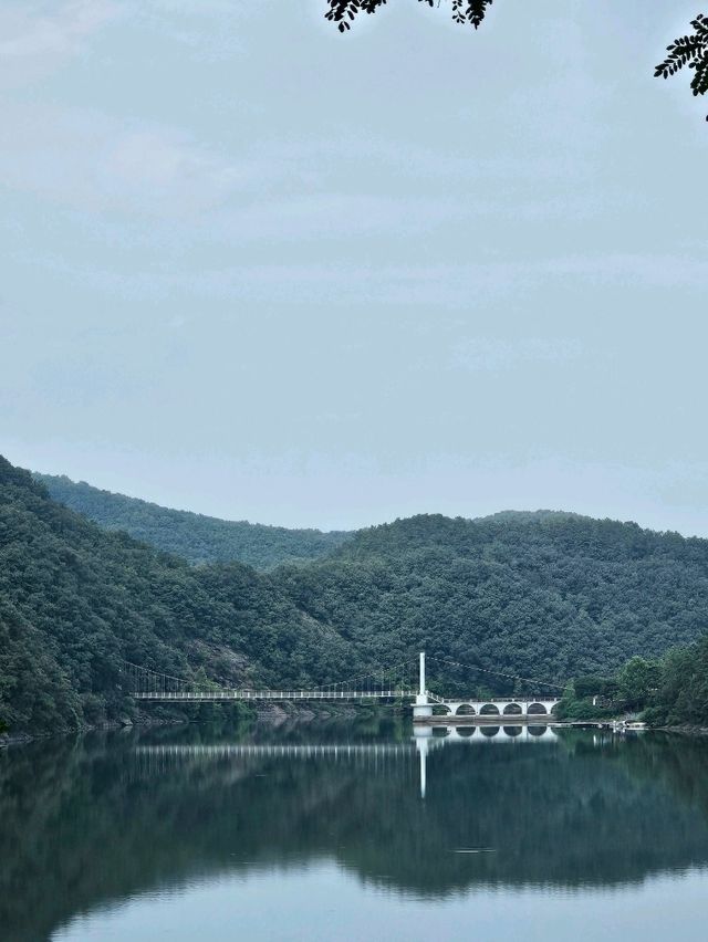 초평호 위의 아찔한🫣 출렁다리 