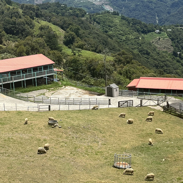 台北台中宜蘭五日之旅