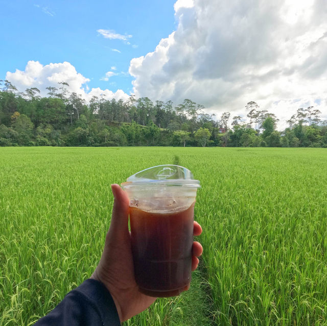 คาเฟ่น่าแวะเมืองกัลยาณิวัฒนา เชียงใหม่ 