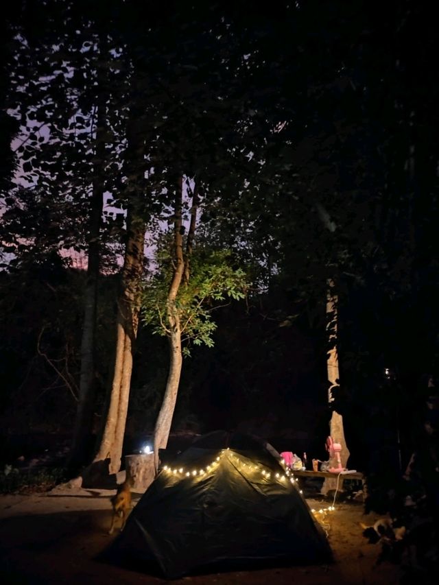 ธารธาดา โฮมสเตย์ สวนผึ้ง 🏕️