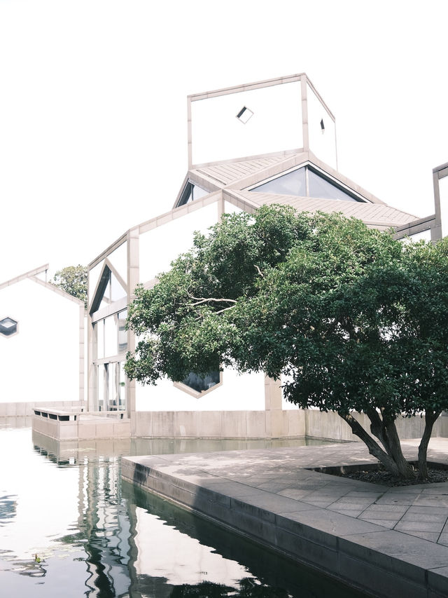 蘇州博物館·建築美學天花板