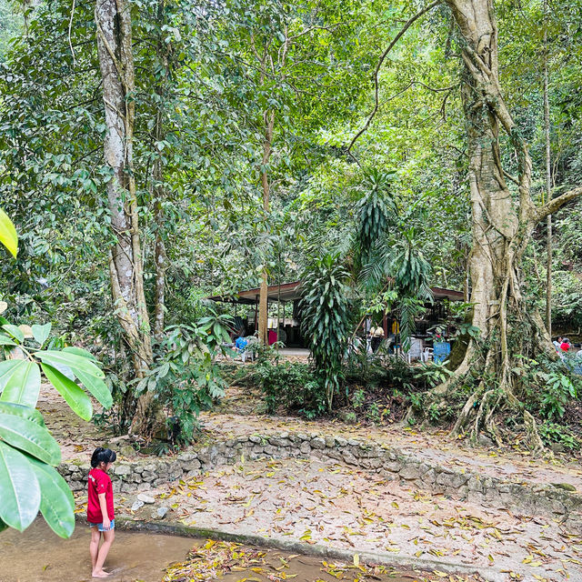 A Hidden Gem in Tokun Forest