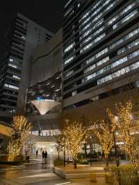 東京夜景一覽無遺 - 三井花園飯店豐洲普米爾