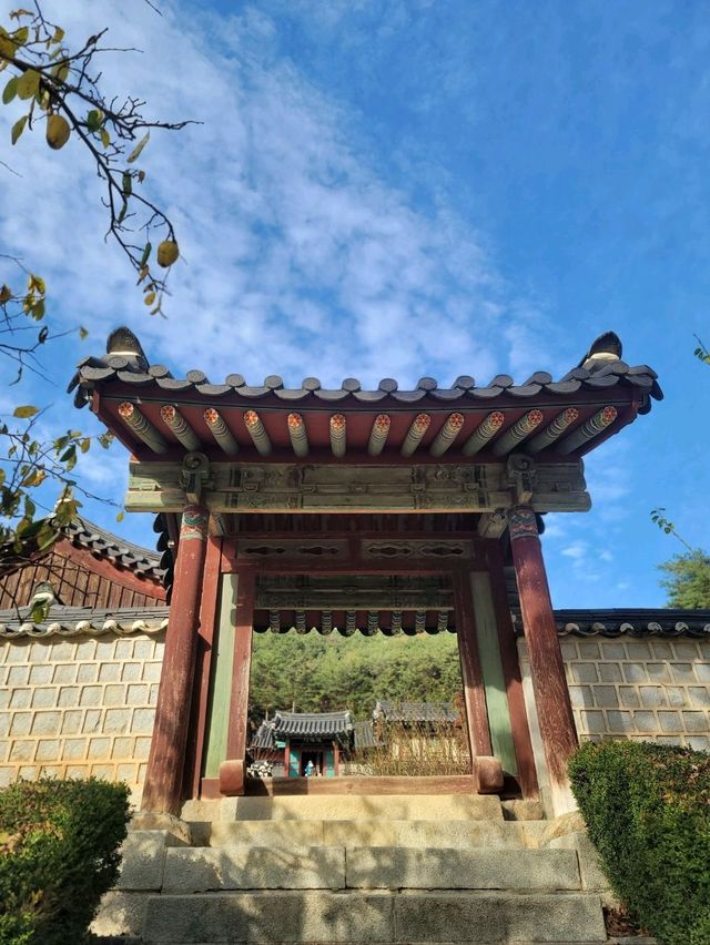 가을이면 더 아름다운 안동 필수여행지🤎