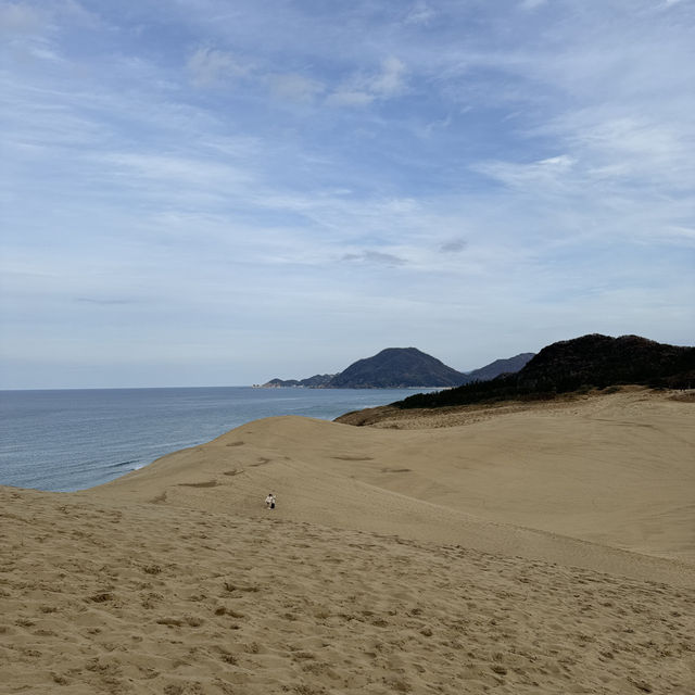 Splendid sand dunes with Camels in Tottori, Japan 🇯🇵 
