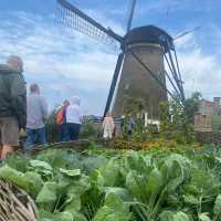 Kinderdijk: The Iconic Windmills