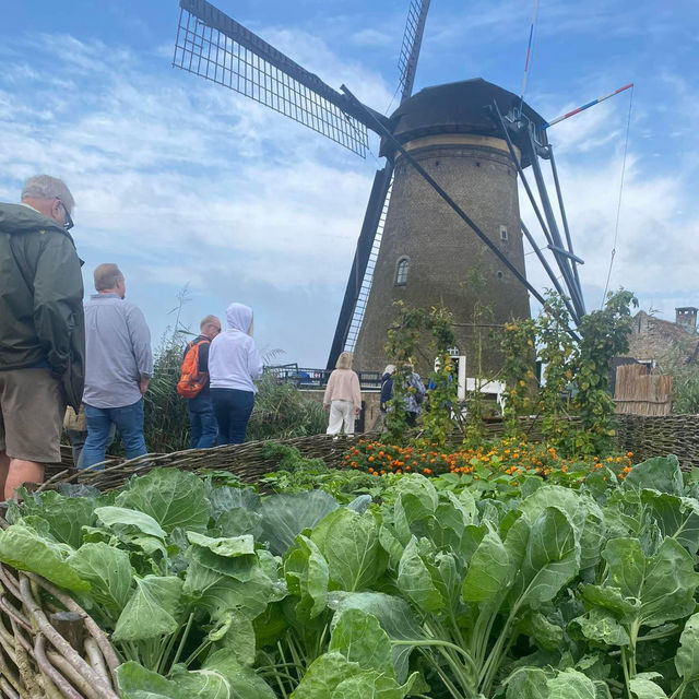 Kinderdijk: The Iconic Windmills