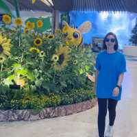 Visit the Most Beautiful Airport in the World 🌎 