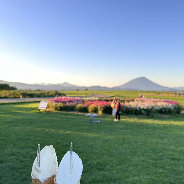 北海道｜Lake hill farm：洞爺湖畔花園牧場冰淇淋，悠閒親子美食景點