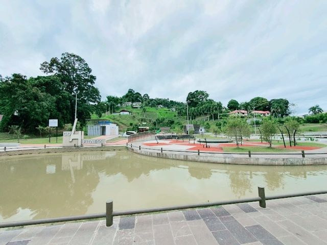 Kapit Lily Pond Kapit Lily Pond