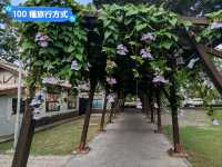 台南-水交社文化園區，昔日空軍眷村宿舍老宅