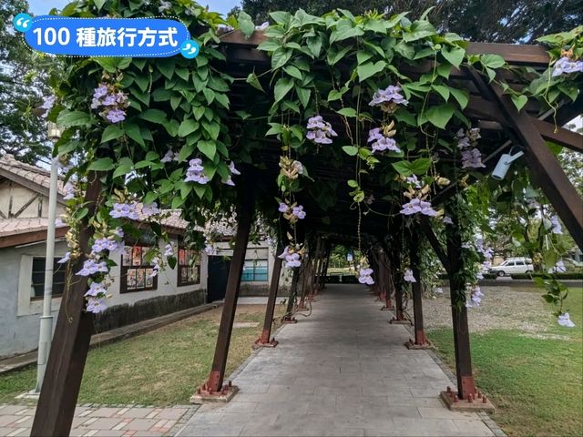 台南-水交社文化園區，昔日空軍眷村宿舍老宅