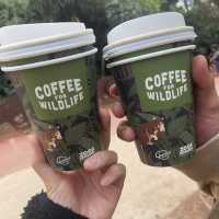 Werribee Zooで体感！サバンナ大冒険のサファリツアー