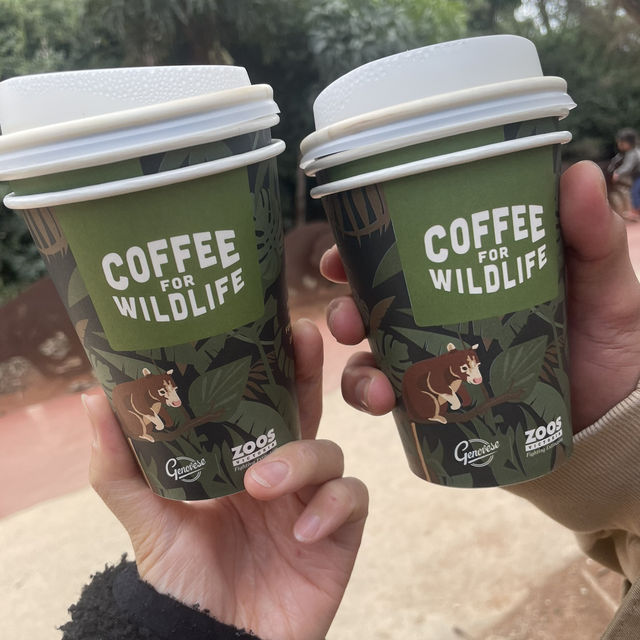 Werribee Zooで体感！サバンナ大冒険のサファリツアー