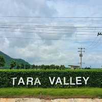 TARA Valley Saraburi ที่พักสุดชิล สระบุรี 