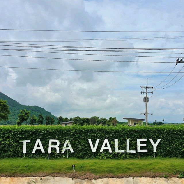 TARA Valley Saraburi ที่พักสุดชิล สระบุรี 