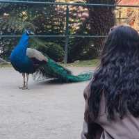 sensational display of animal love!! 