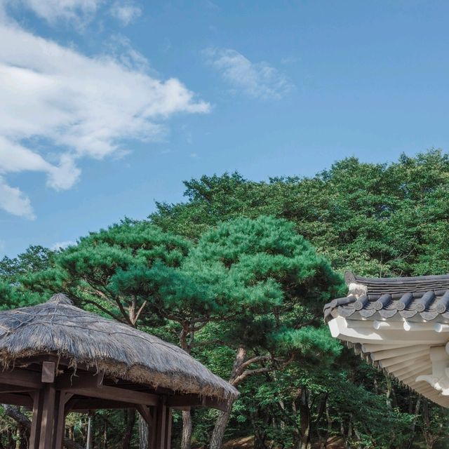 선비들의 이야기가 있는