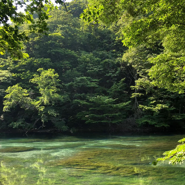 布滝：綠意盎然的自然🌿💦
